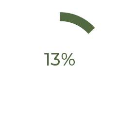 13%